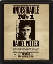 Proměňovací 3D obrázek Harry Potter v rámečku: Harry & Sirius - 3D plakát (25,4 x 20 cm)