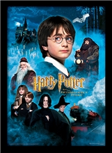Obrázek v rámečku Harry Potter: Philosophers Stone - Kámen mudrců (30 x 40 cm)