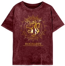 Dámské tričko Harry Potter: Nebelvírské souhvězdí (S) vínová bavlna