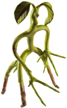 Sběratelská figurka Fantastic Beasts Fantastická zvířata: Bowtruckle (výška 18 cm)