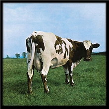 Plakát v rámu Pink Floyd: Atom Heart Mother (31,5 x 31,5 cm)