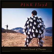 Plakát v rámu Pink Floyd: Delicate Sound Of Thunder (31,5 x 31,5 cm)