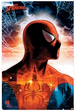 Plakát Marvel Spiderman: Protector Of The City (61 x 91,5 cm)