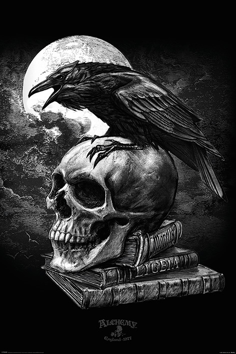 Plakát Alchemy: Poe's Raven (61 x 91,5 cm)