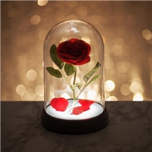 Paladone Disney Beauty and the Beast - Enchanted Rose Light
