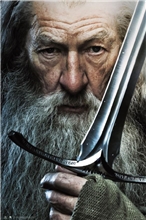 Plakát The Lord Of The Rings Pán prstenů: Gandalf (61 x 91,5 cm)