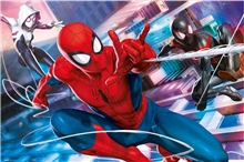 Plakát Marvel Spiderman: Peter, Miles & Gwen (61 x 91,5 cm) 150 g