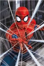 Plakát Marvel Spiderman: Web (61 x 91,5 cm) 150 g