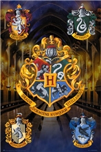 Plakát Harry Potter: Hogwarts (61 x 91,5 cm) 150 g