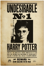 Plakát Harry Potter: Nežádoucí No.1 (61 x 91,5 cm) 150 g
