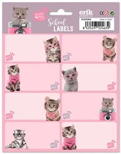 Poznámkové nálepky Studio Pets: Cats - Kočky Set 16 kusů (kus 8 x 4 cm set 16 x 20 cm)