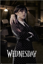 Plakát Netflix Wednesday: Room (61 x 91,5 cm)