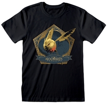 Pánské tričko Harry Potter Hogwarts Legacy: Snitch Bird (L) černá bavlna