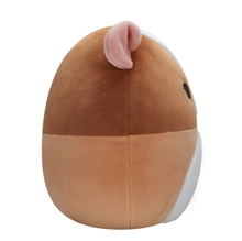 Squishmallows - 20 cm plyšák - Morče Garret