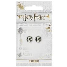 Náušnice Harry Potter - Nástupiště 9 a 3/4, pecky