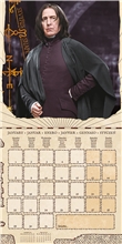 Kalendář Harry Potter - Postavy 2024