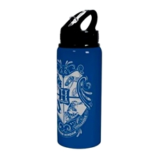 Sportovní kovová láhev Stor Harry Potter - modrá (710 ml)