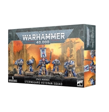 Warhammer 40.000: Space Marines Sternguard Veterans