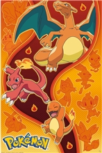 Pokémon - Fire Type plakát