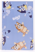 Bluey vybarvovací set