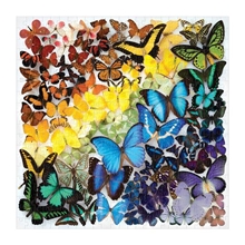 Galison Puzzle Duhoví motýli 500 dílků