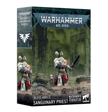 Warhammer 40,000: Blood Angels Sanguinary Priest