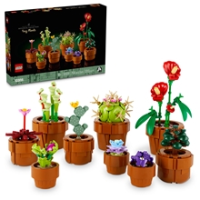 LEGO® Botanicals 10329: Miniaturní rostliny