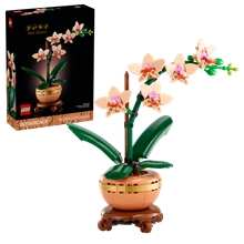 LEGO® Botanicals 10343: Miniaturní orchidej