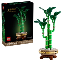 LEGO® Botanicals 10344: Bambus štěstí