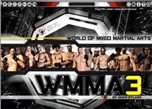 World of Mixed Martial Arts 3 (Voucher - Kód ke stažení) (PC)