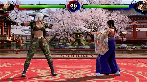 Virtua Fighter 5 R.E.V.O. World Stage - 30th Anniversary Edition (Game-Key Card) (SWITCH 2)