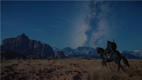 Crimson Desert - Collectors Edition (XSX)