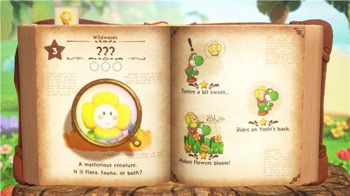 Yoshi and the Mysterious Book (SWITCH 2)