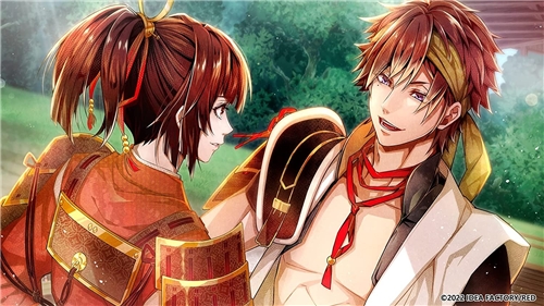 Birushana: Rising Flower of Genpei & Winds of Fate - Dual Pack (SWITCH)