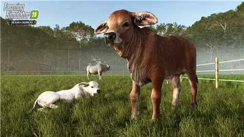 Farming Simulator 25 Beans & Alpacas Edition (PC)