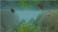 European Fishing (Voucher - Kód ke stažení) (PC)